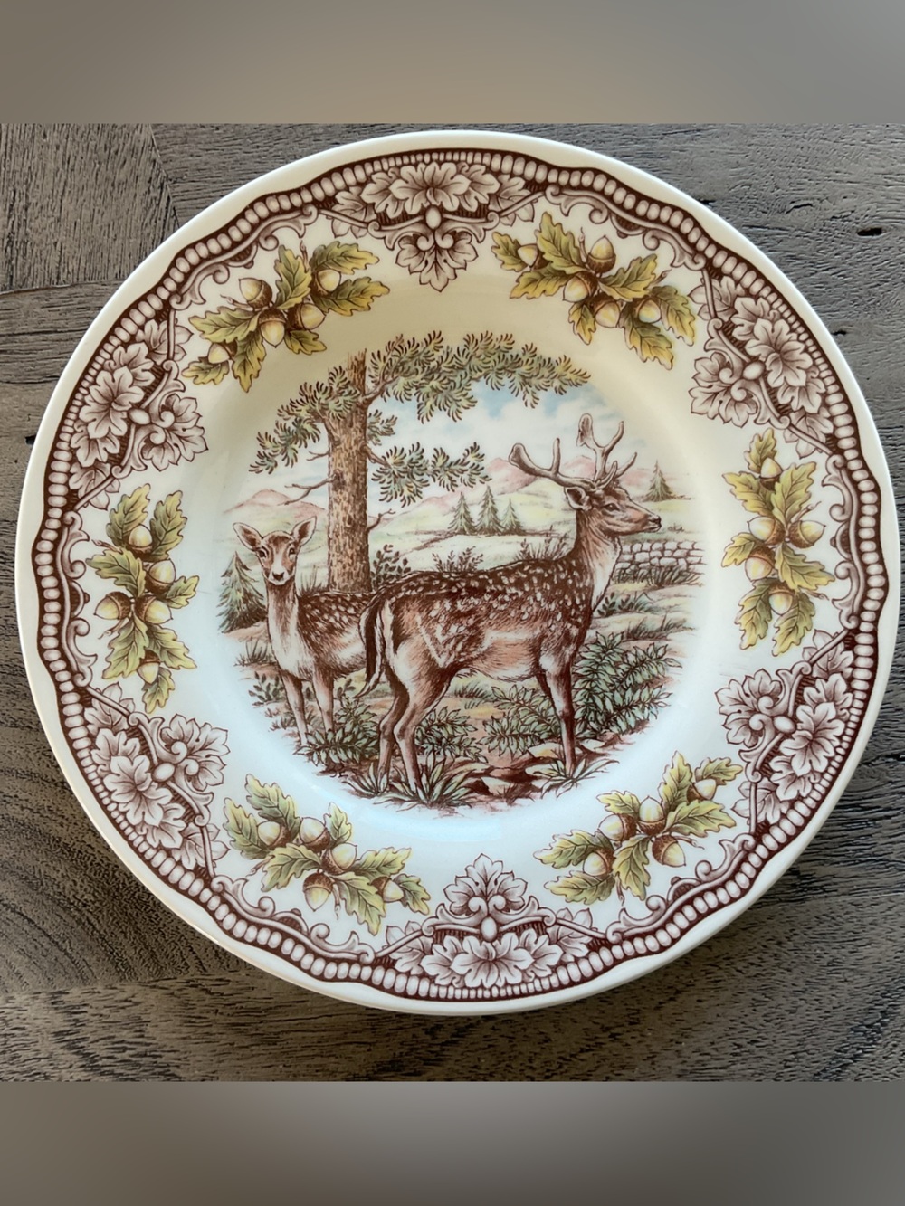 Royal Stafford Victorian English Pottery Homeland Stag Pattern 8” Salad Plate